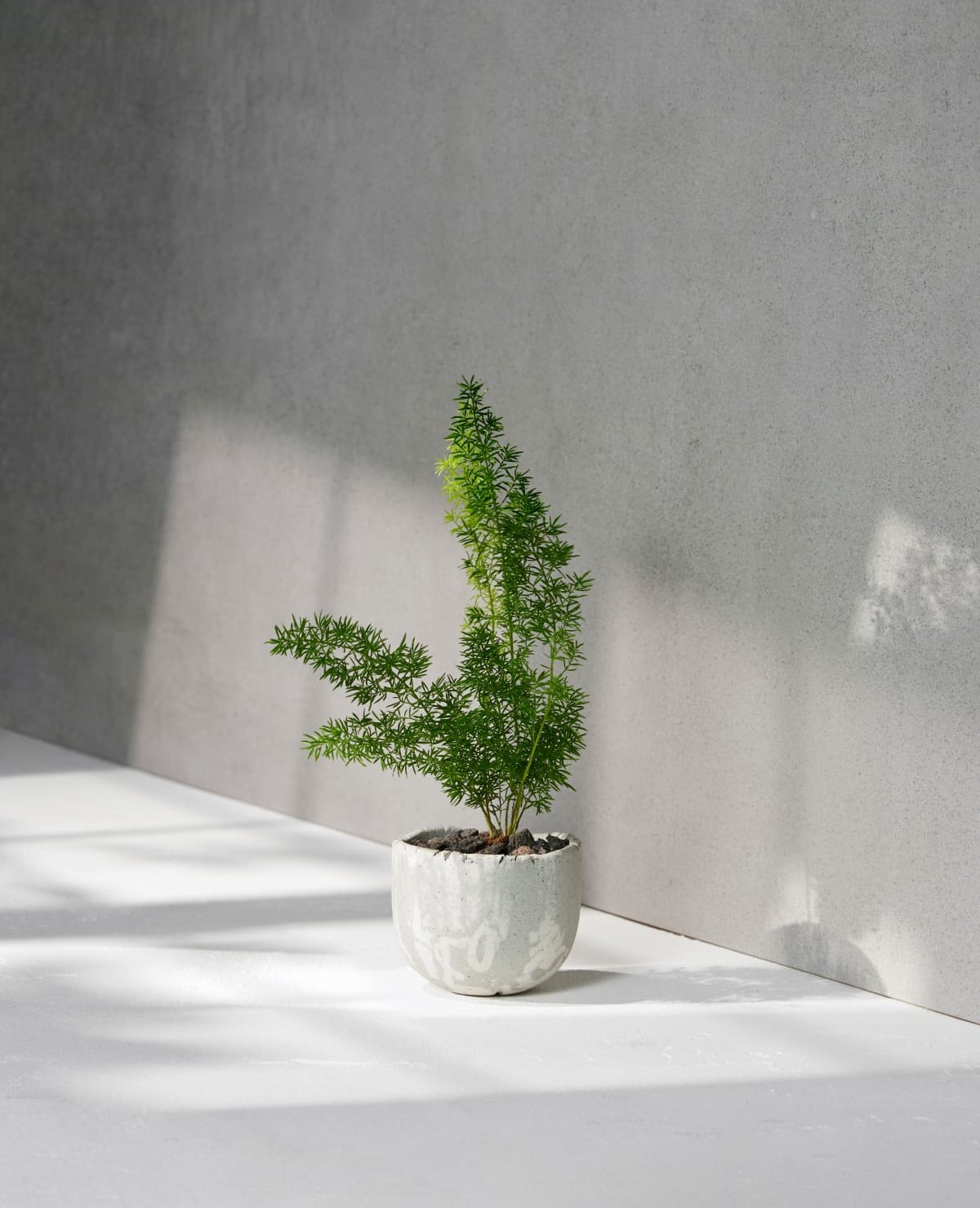 아누 홈페이지_40,000원