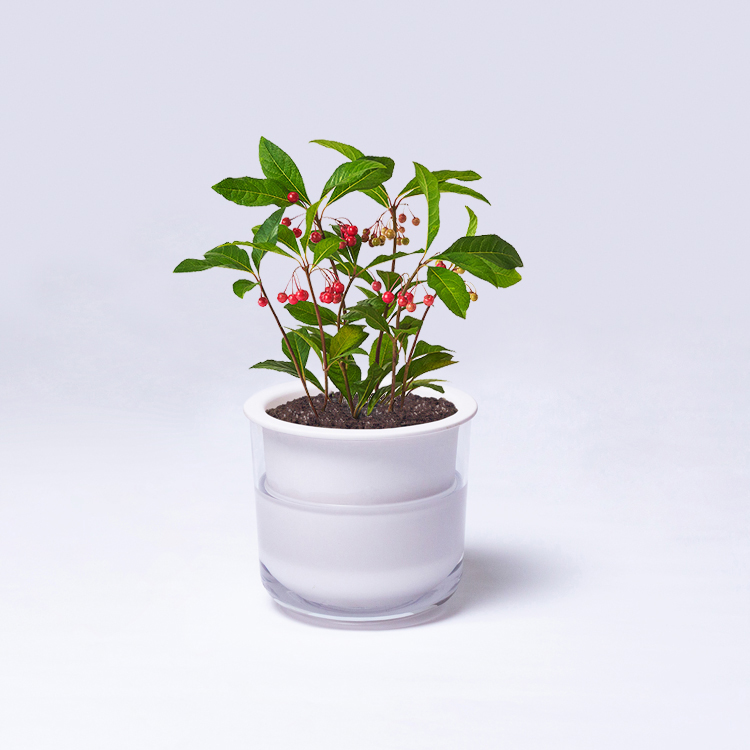 트리플래닛 홈페이지_49,500원