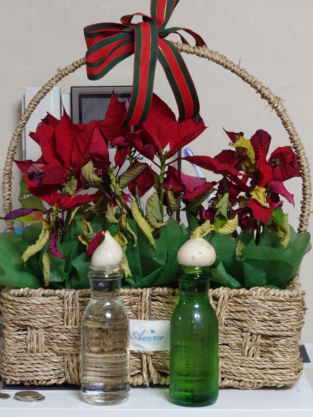 시와 [잠 못 이루는 당신에게] 10의 썸네일 이미지