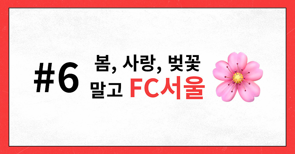 #6 봄, 사랑, 벚꽃 말고 FC서울의 썸네일 이미지