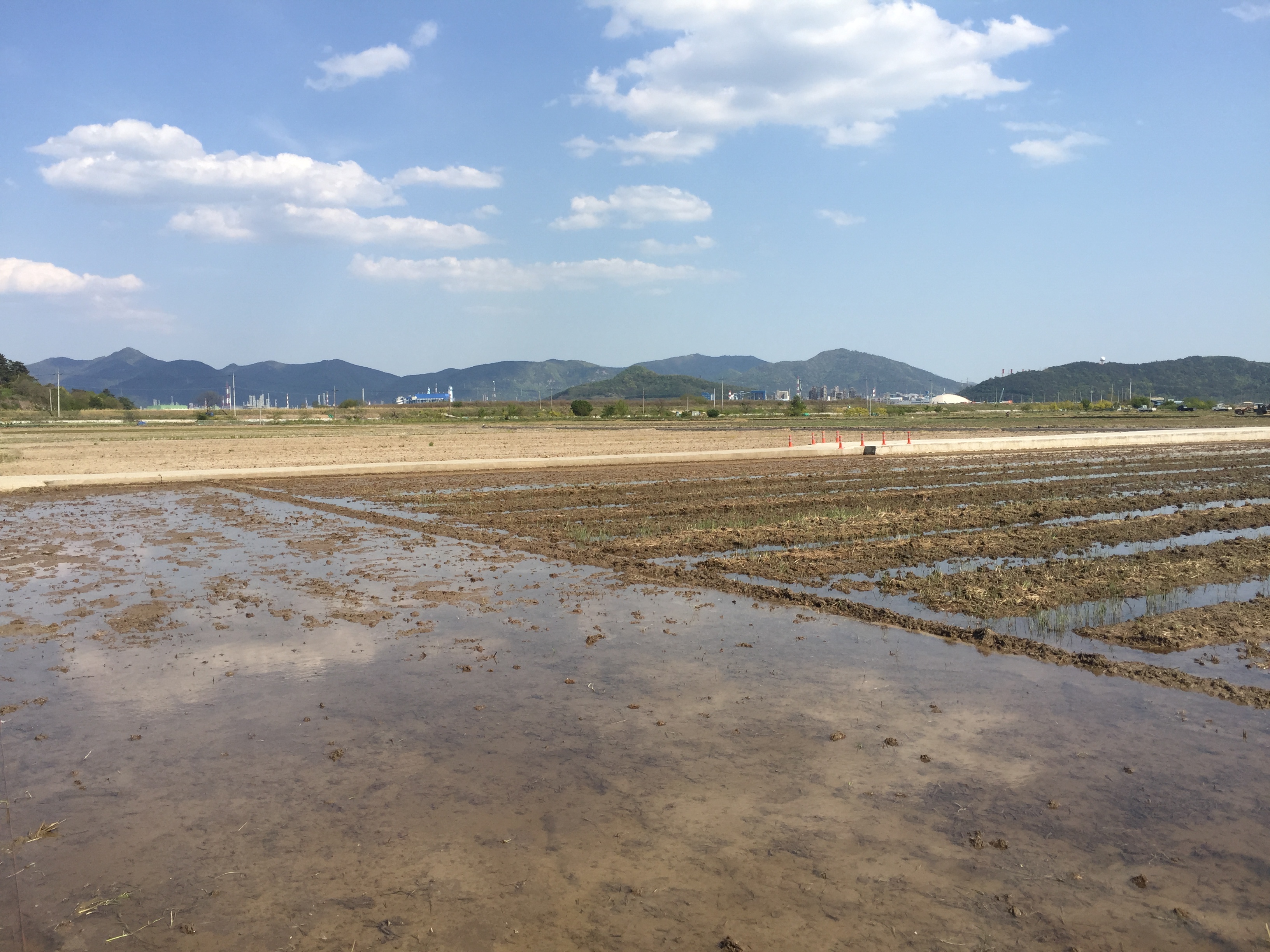 2020.4.27 15:09 여수 율촌면 구암 논뷰 (c)차화진