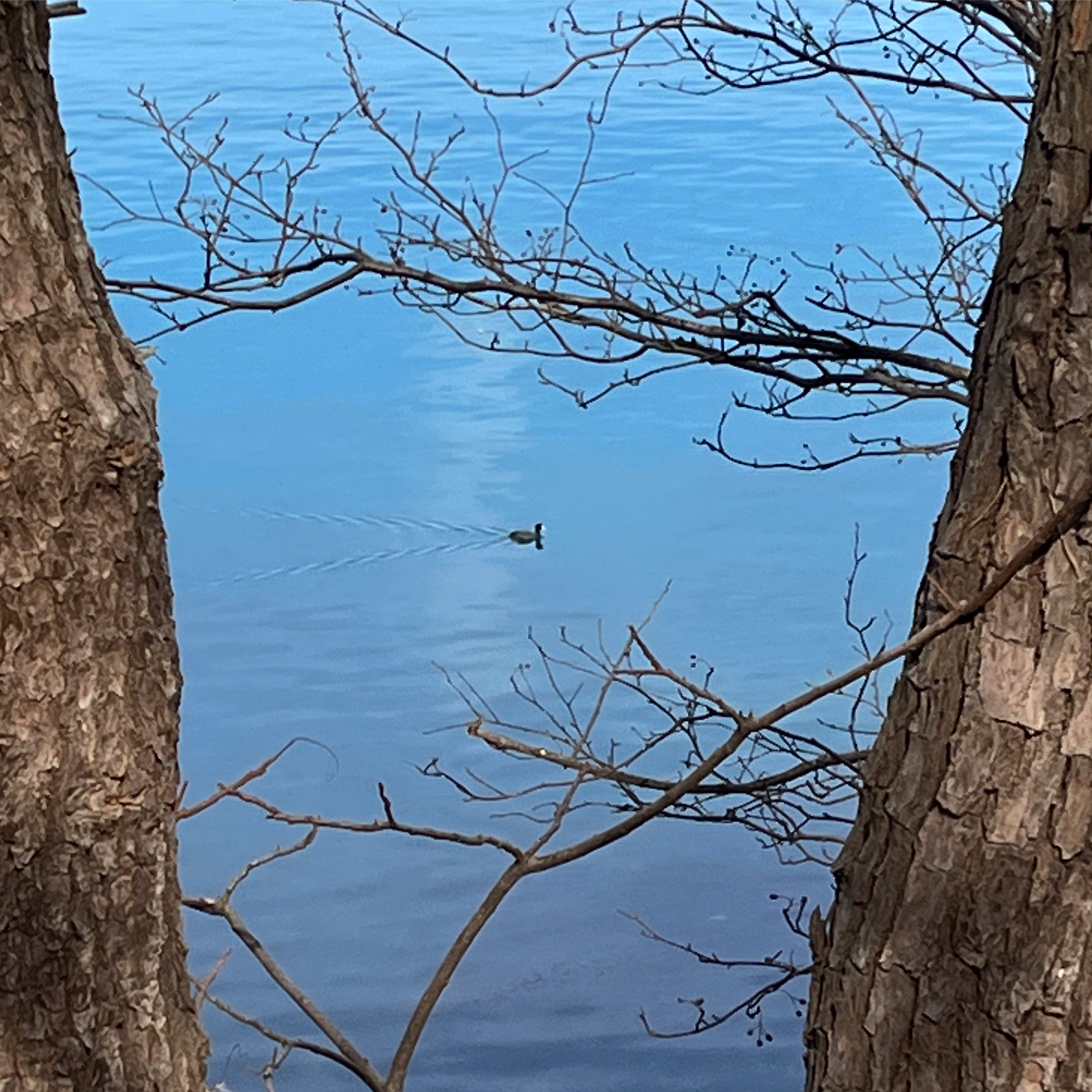 사노글, “여기로 이끈 말”의 썸네일 이미지