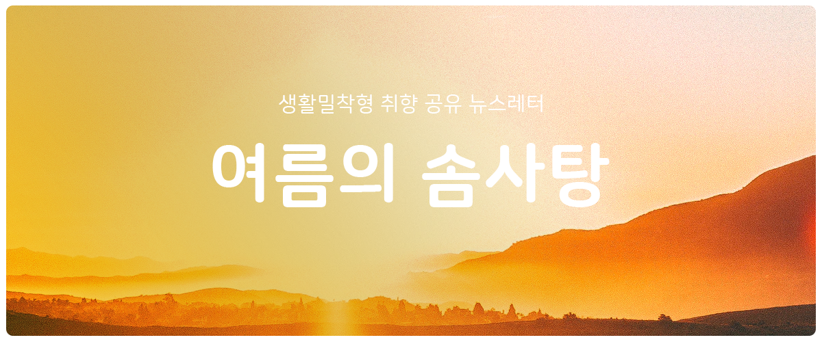 [여름의 솜사탕] #72 2021년은 선한 관종력으로의 썸네일 이미지