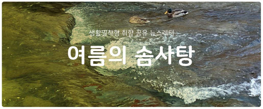 [여름의 솜사탕] #76 돈 벌기 힘들다!의 썸네일 이미지