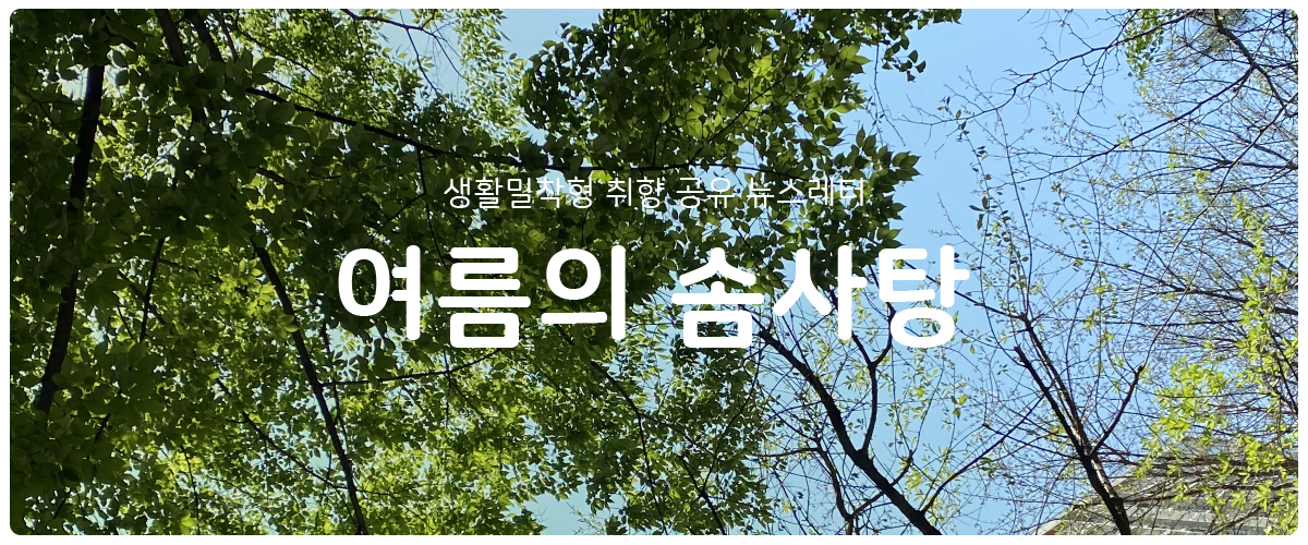 [여름의 솜사탕] #88 돌아온 마음의 썸네일 이미지