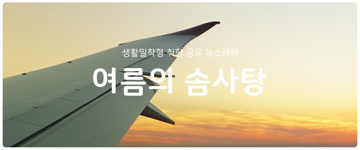 [여름의 솜사탕] #119 내가 멀리 나가지 않는 이유의 썸네일 이미지