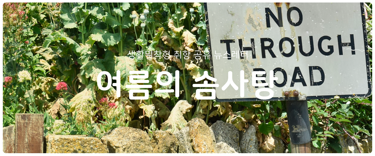 [여름의 솜사탕]  #127 스포일러 없음의 썸네일 이미지