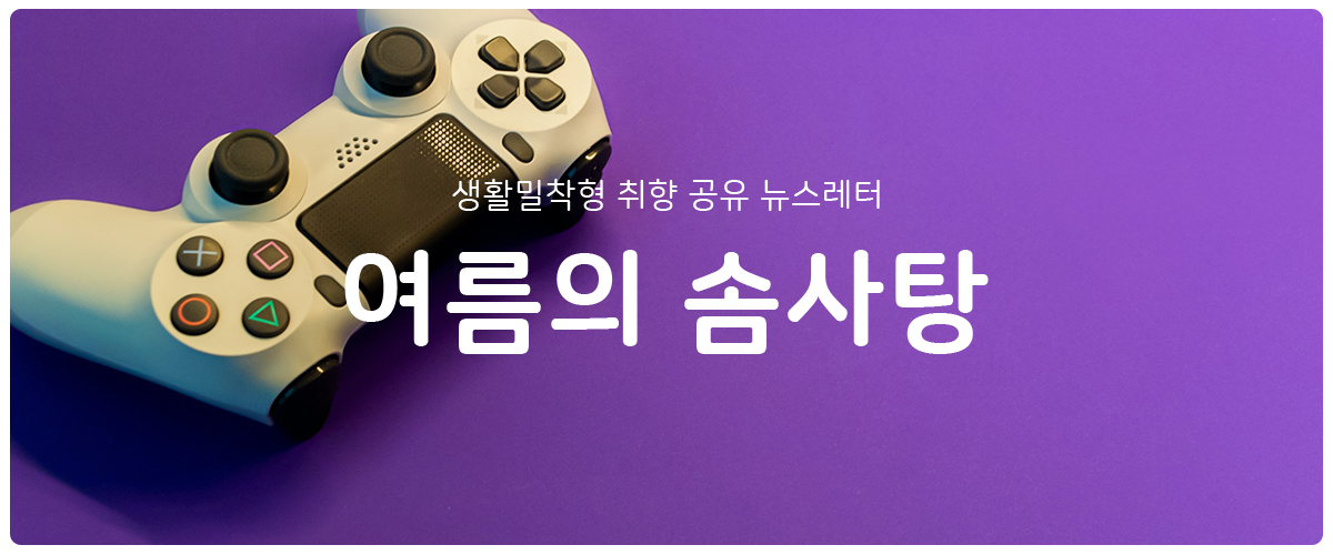 [여름의 솜사탕] #136 배움의 쓸모(New!)의 썸네일 이미지