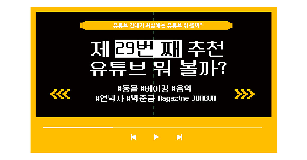 [vol. 29] 드디어 불금❤️‍🔥 당신의 유튜브 보석함을 꽉 채워줄 오늘의 영상 추천!의 썸네일 이미지