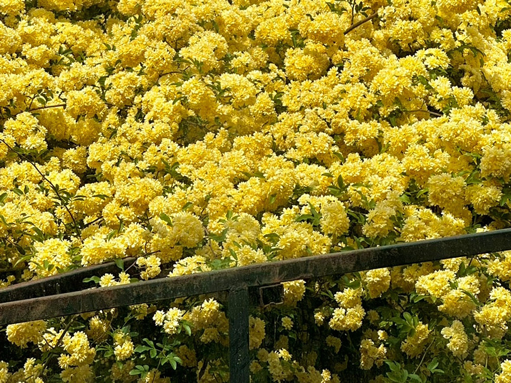 [미지] 인터뷰 <미지의 세계>의 썸네일 이미지