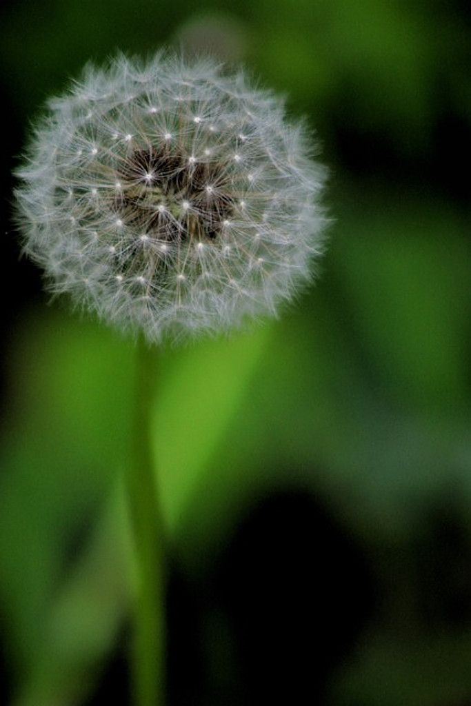 [휴재 공지]의 썸네일 이미지