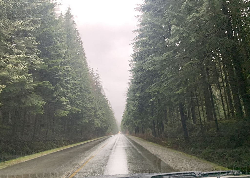 매주 600km를 달리며의 썸네일 이미지