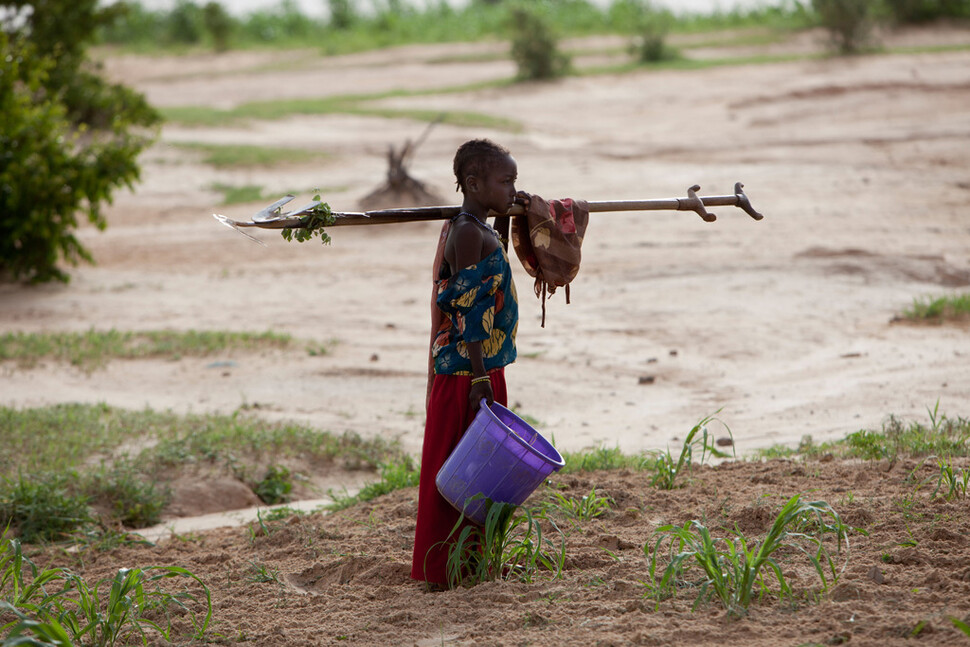 아프리카 니제르에서 한 여자아이가 밭에서 일을 하고 집으로 돌아가고 있다. 카본 브리프 제공 ⓒ 한겨레신문