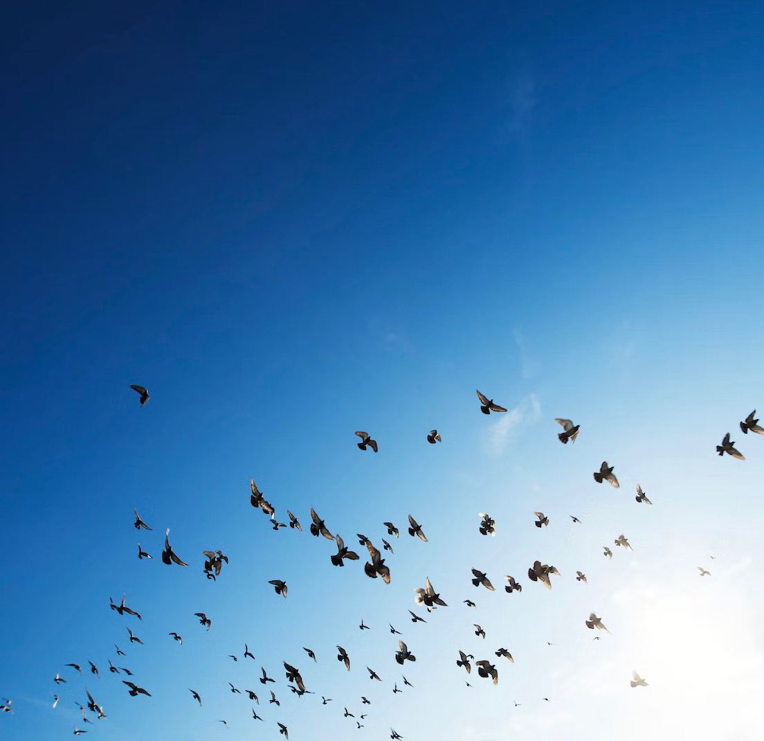 100억을 벌려면 어떻게 해야할까? 의 썸네일 이미지