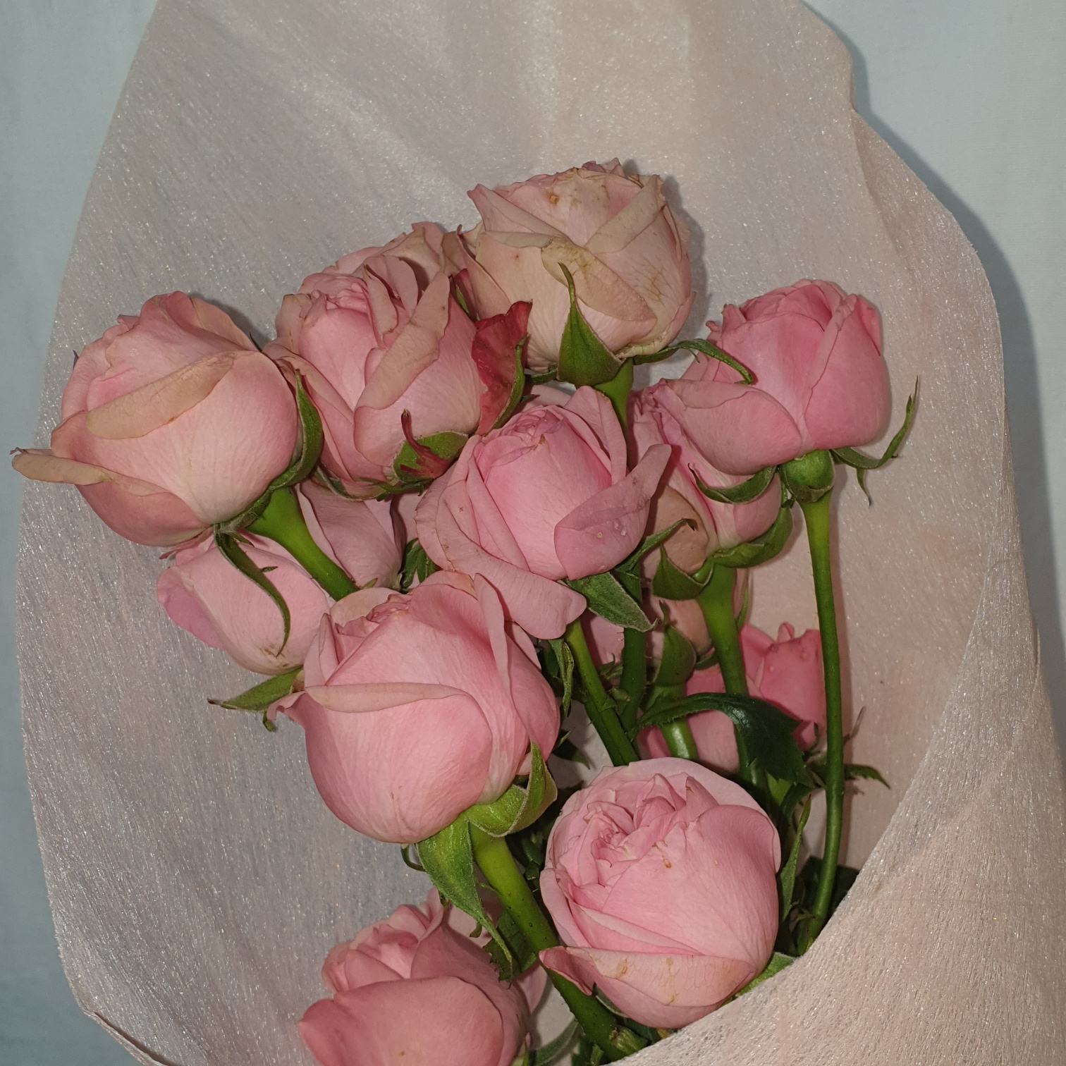 생각지 못한 행복을 가져다준 좋은 사람.