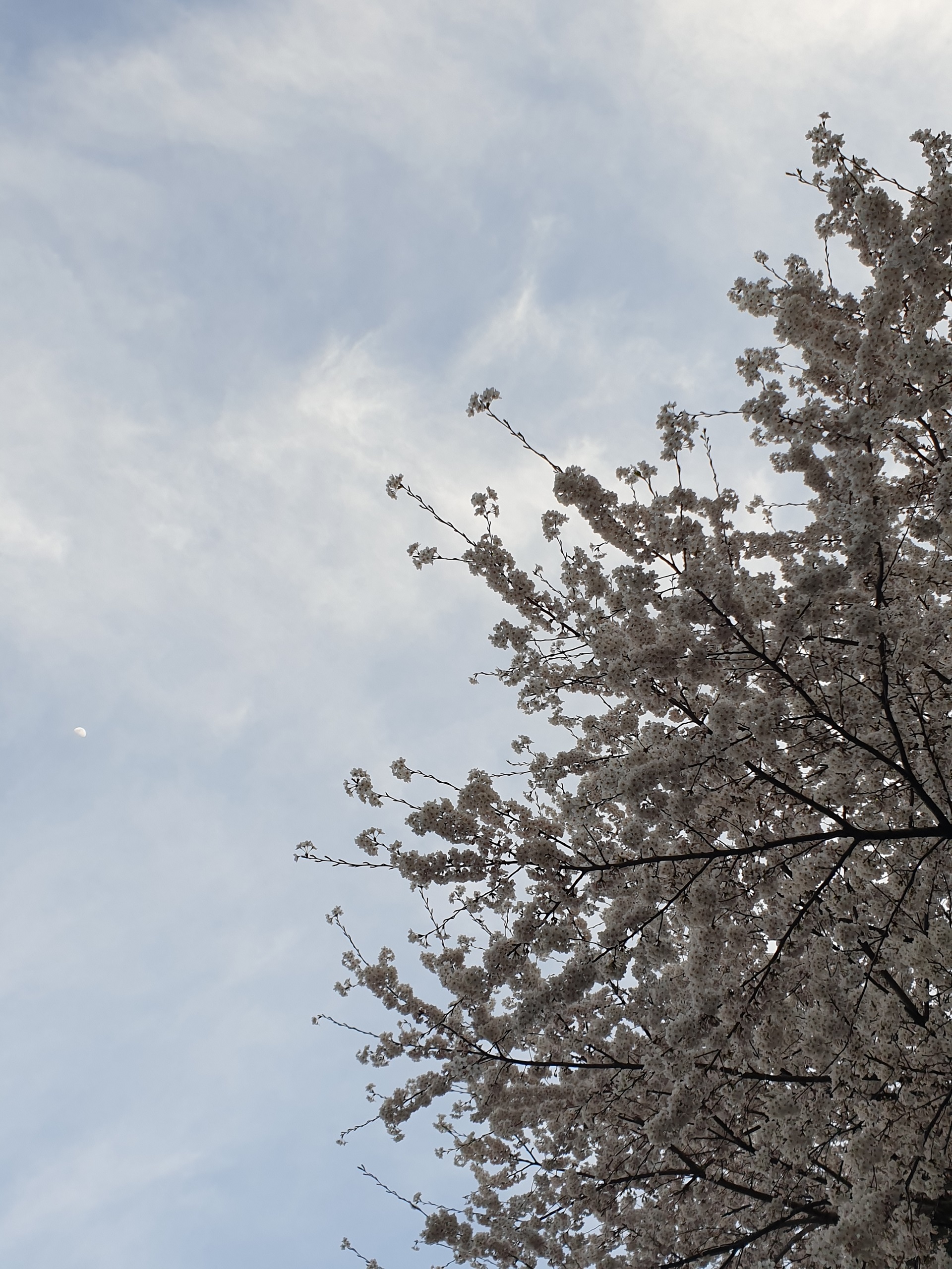 영원을 약속해.의 썸네일 이미지