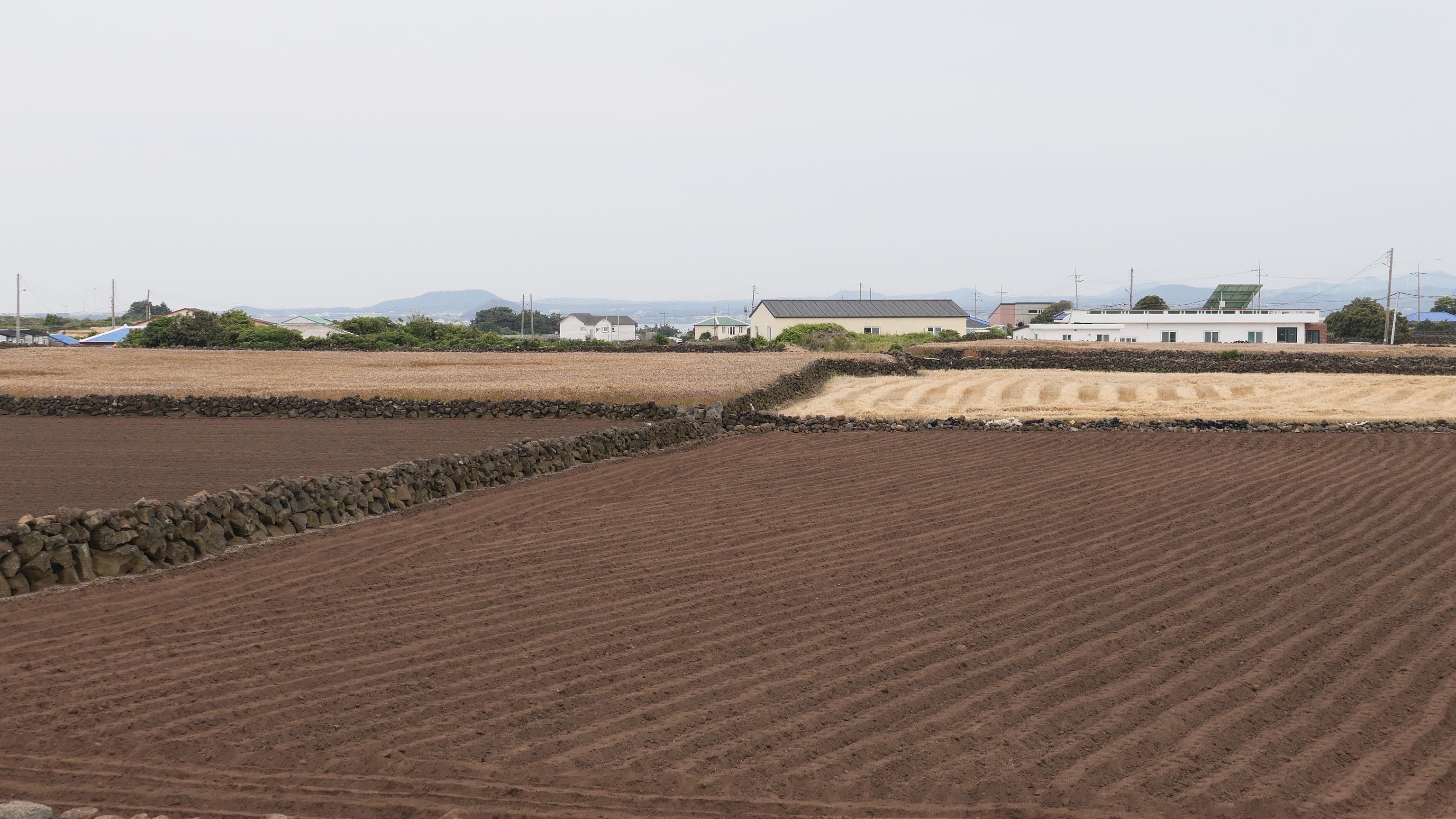 | 굳은살의 썸네일 이미지