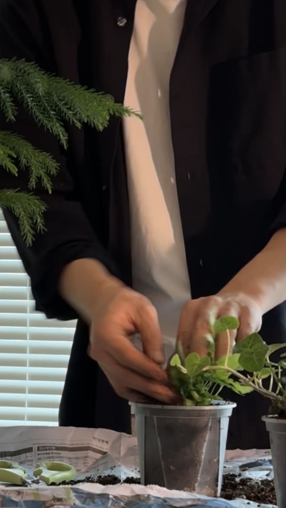 아무 인사 없이 떠나보내기 아쉬워서의 썸네일 이미지