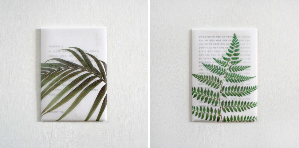 소언(PLANT POSTCARD)_3,600원