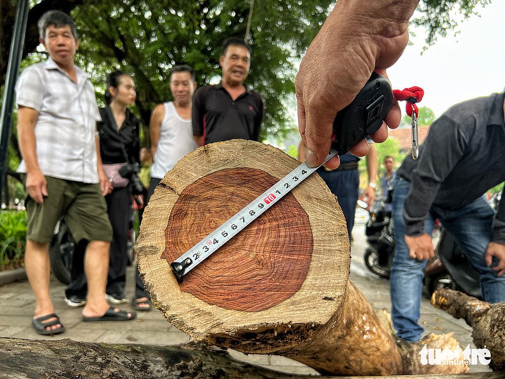 20230525(목) 베트남 읽어보기의 썸네일 이미지