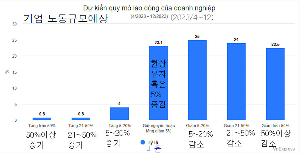 20230529(월) 베트남 읽어보기의 썸네일 이미지