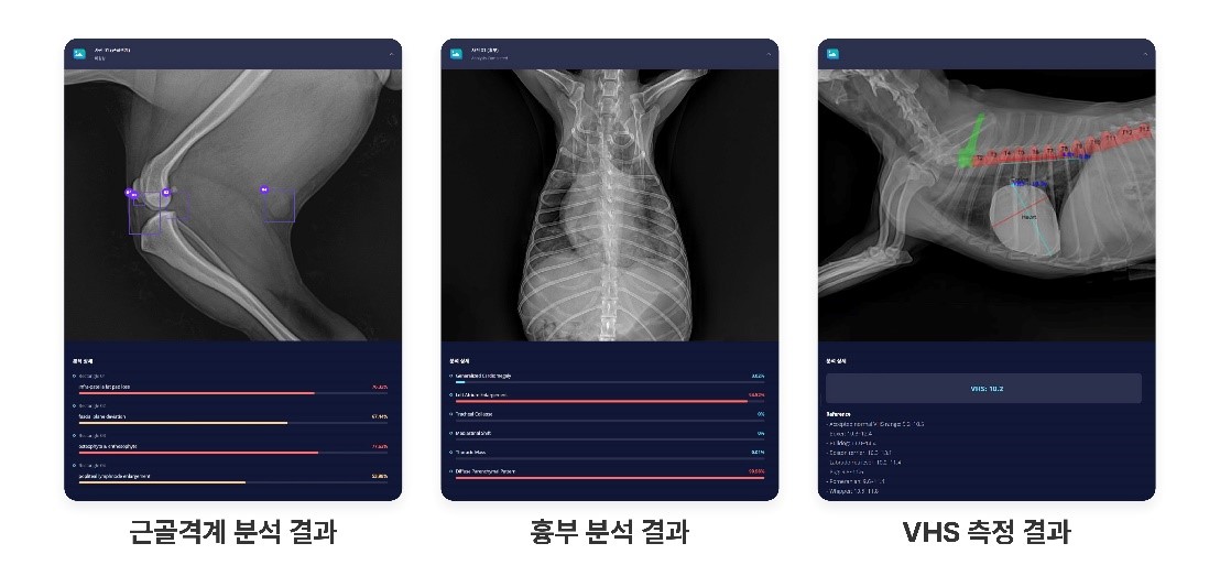 AI기반 수의영상진단 보조서비스 예시