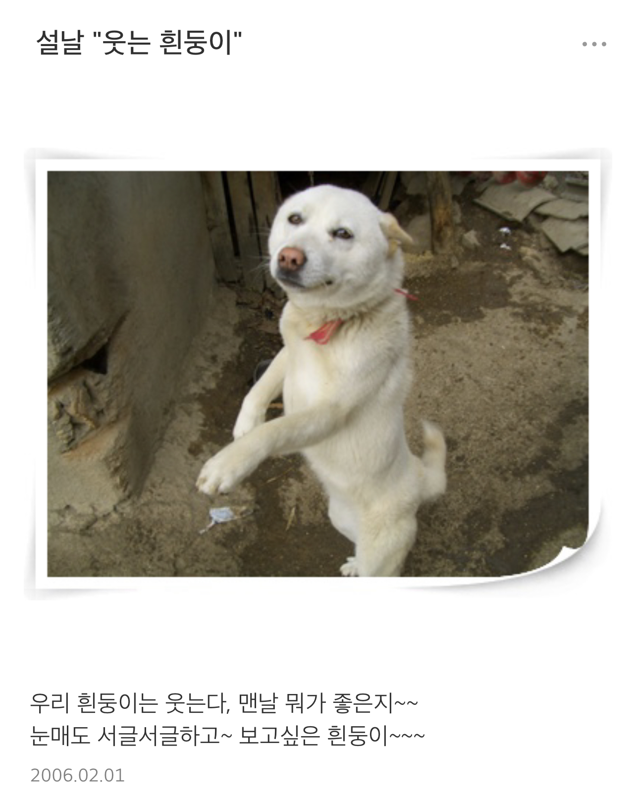 할머니 사진을 넣고 싶었는데 시골 사진은 미니홈피 속 흰둥이 밖에 없었다. 너무 죄송하고 서러워서 펑펑 울었다.