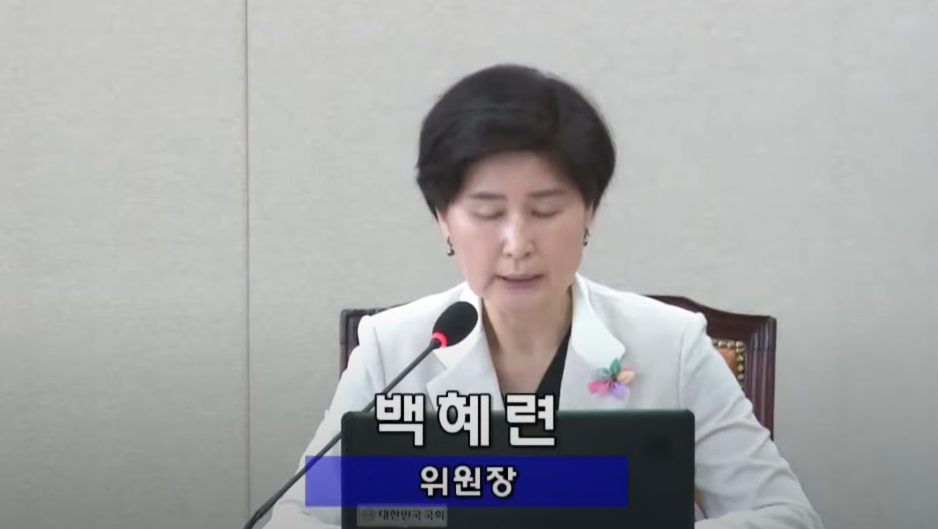 17일 국회 정무위원회에서 발언하는 백혜련 위원장