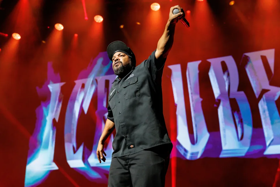 본문 기사 인용