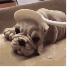 ๋๋์ด : ๐ซข๐ซข๐ซข