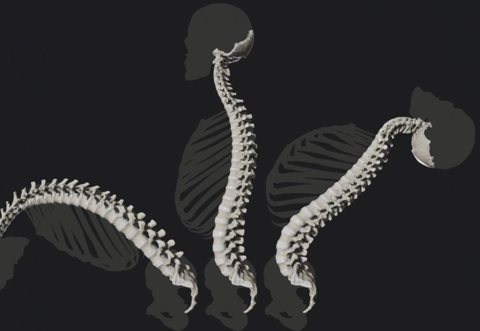 ์ฒจ๋ถ ์ด๋ฏธ์ง