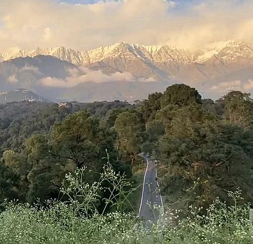 데첸과 쉼의 프로필 이미지