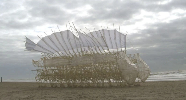 Wind Walkers(윈드 워커스): 테오 얀센의 Strandbeests(해변 동물)