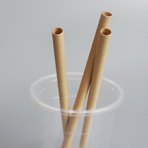 [환경] 친환경의 배신의 썸네일 이미지