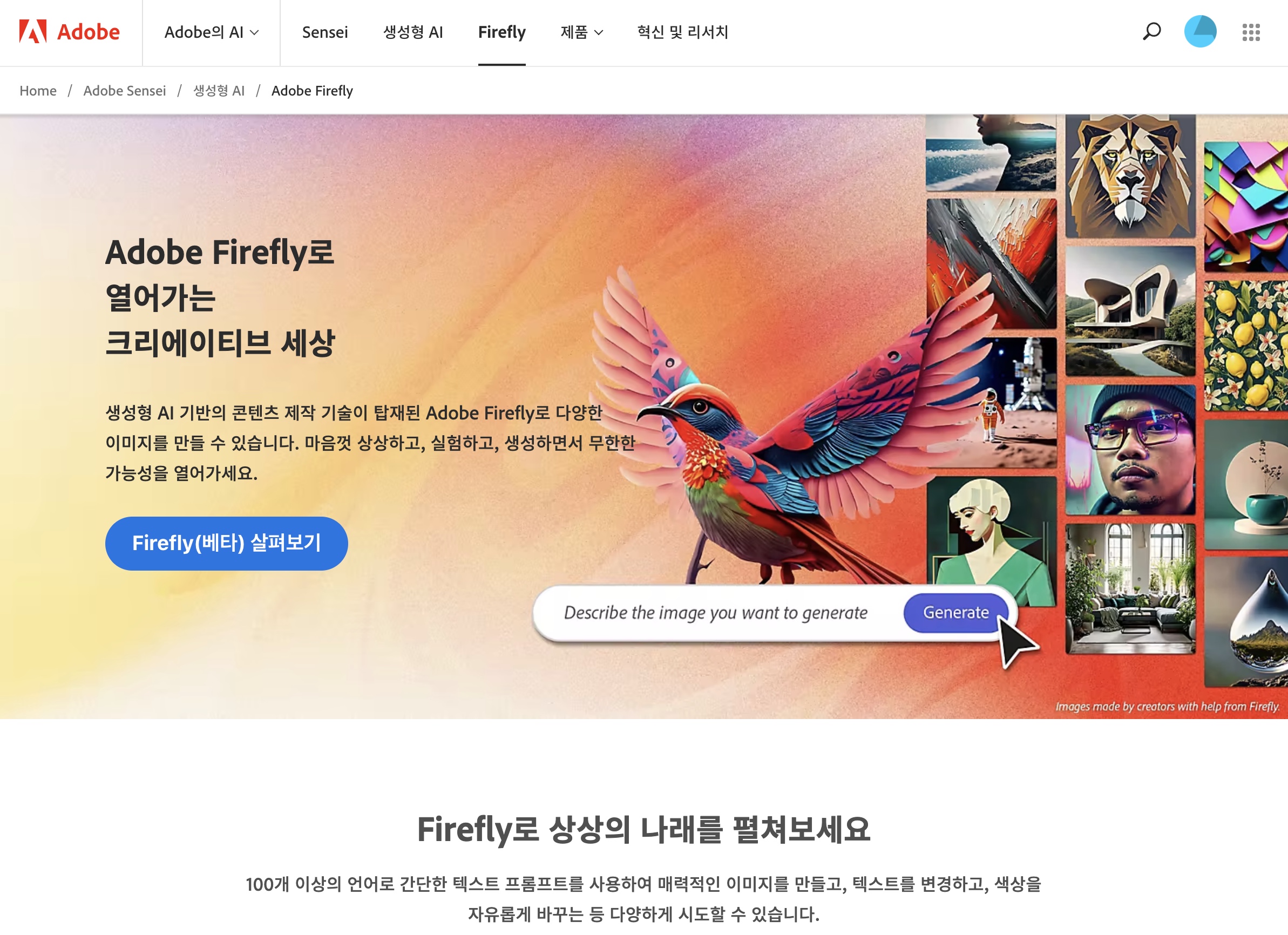 Adobe Firefly 메인