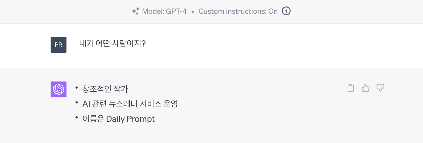 Custom instruction 후 새 대화