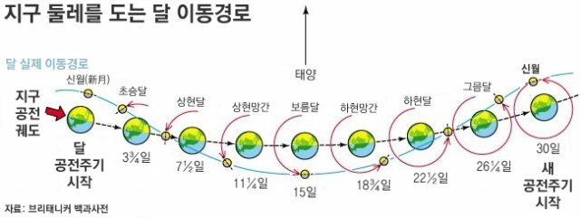 이미지 출처: 동아일보 황규인의 잡학사전