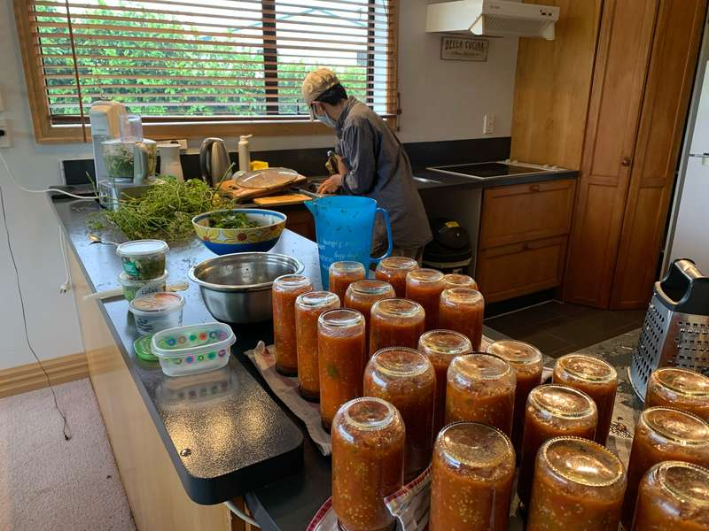 이미지. 농사여행을 하던 퍼머컬쳐 농장에서 토마토 수확 후 저장을 위해 토마토 소스를 만들었다