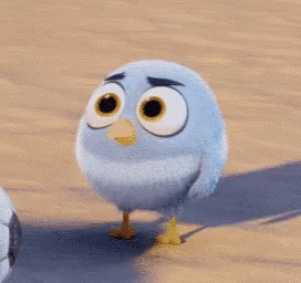 이미지 = tenor 캡쳐 (https://tenor.com/ko/view/angry-birds-movie-angry-birds-flirt-hello-gif-7737139)