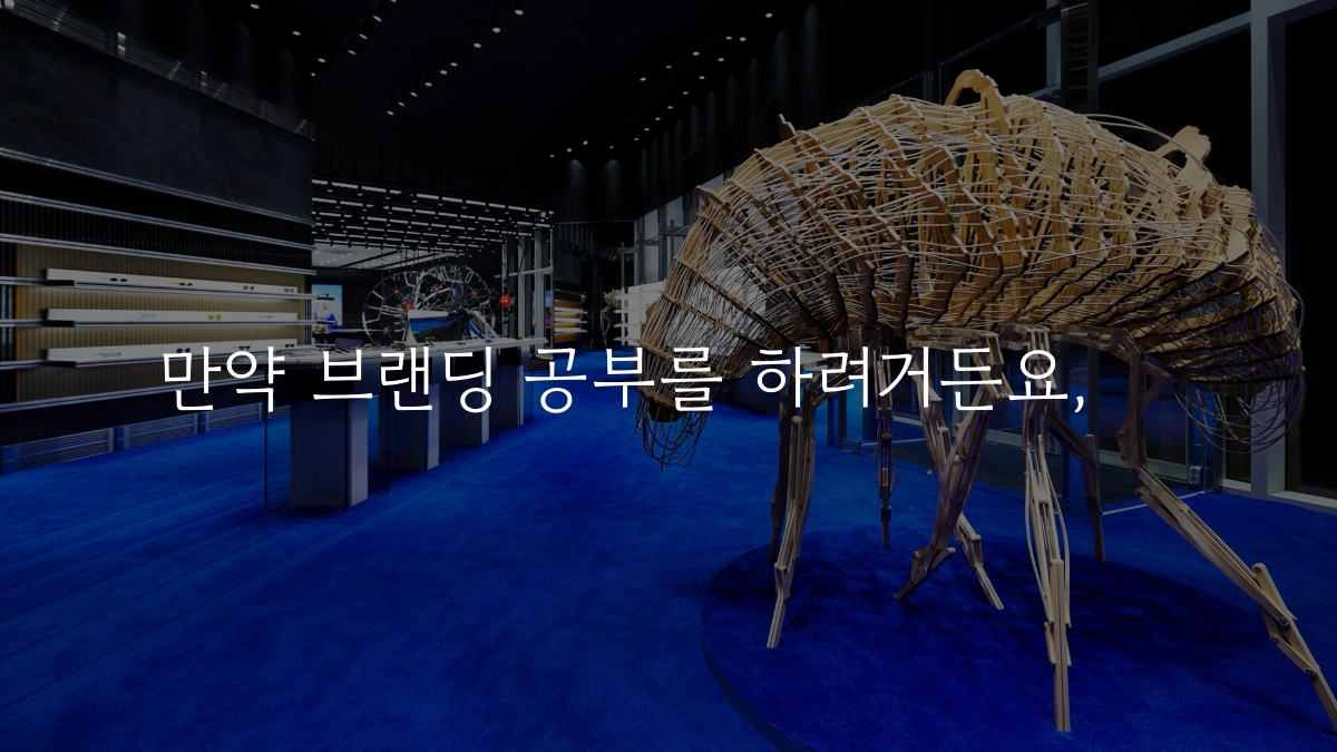 브랜딩의 적, 편향의 썸네일 이미지