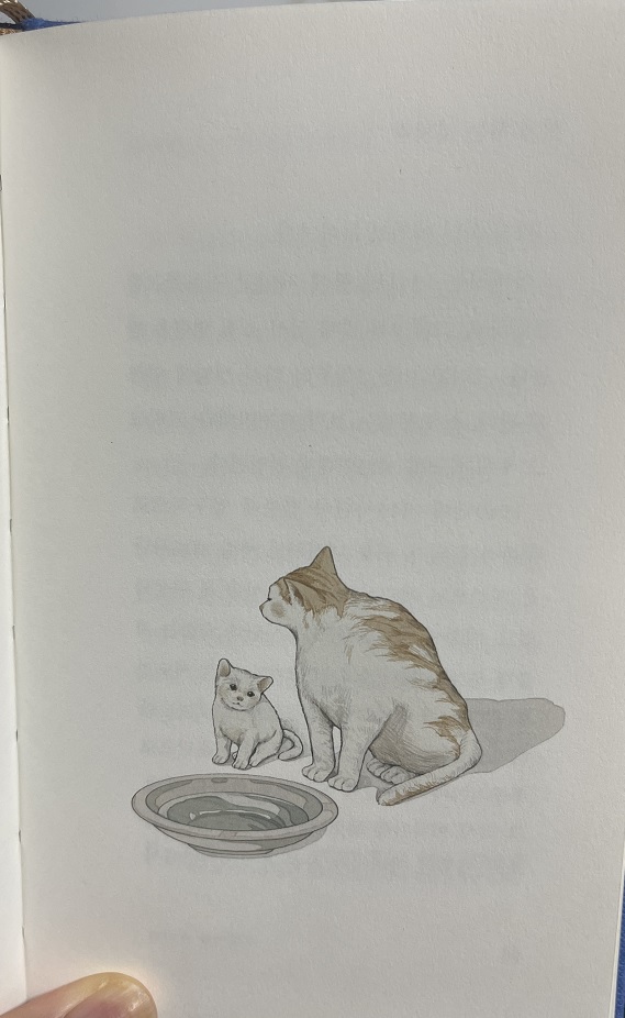 책의 매력을 부가시키는 가오 옌의 삽화 ⓒ꼰냥 캡처