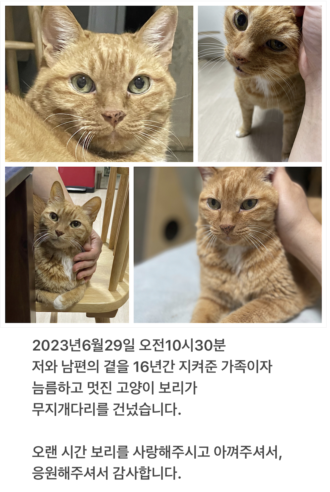 지인들께 드렸던 부고 메시지 ⓒ꼰냥