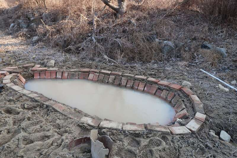만들고 며칠 후 연못의 모습 (출처. 우리 밭)