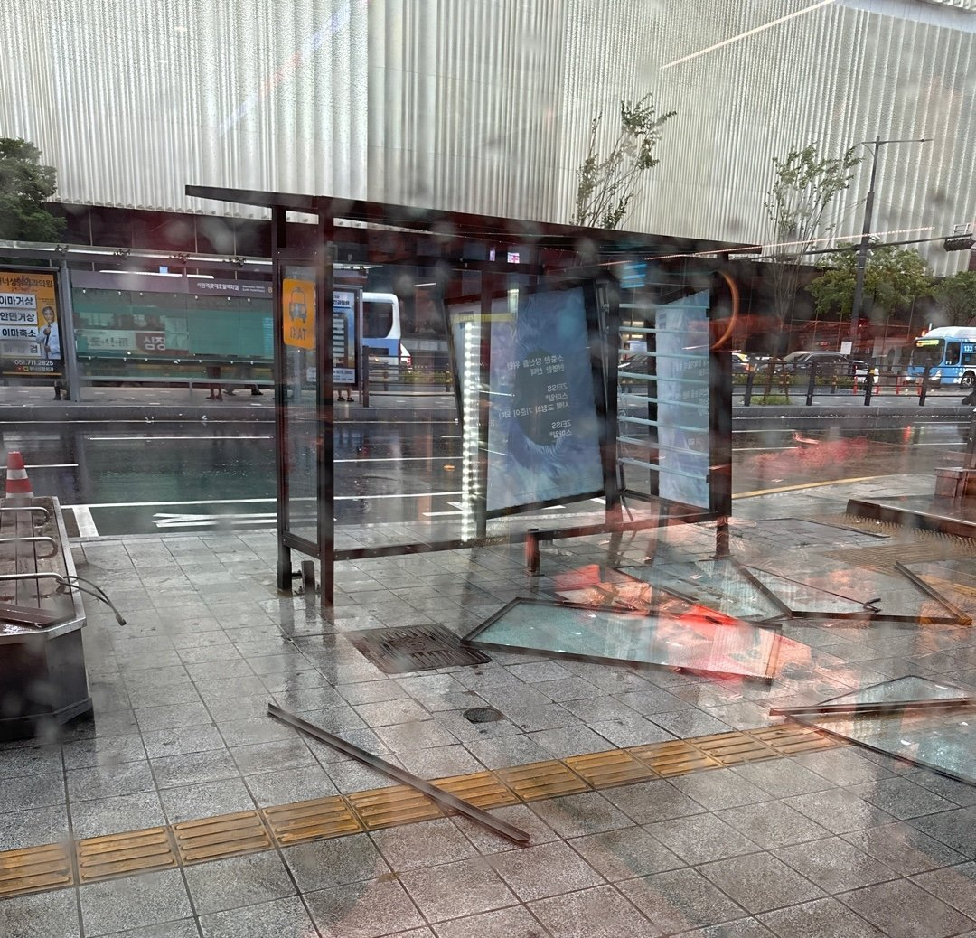 🧾 23년 8월 2주차 뉴스레터의 썸네일 이미지