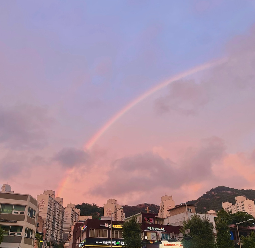 [뉴숩레터 #8] 비와 눈물과 여름과 도전의 썸네일 이미지