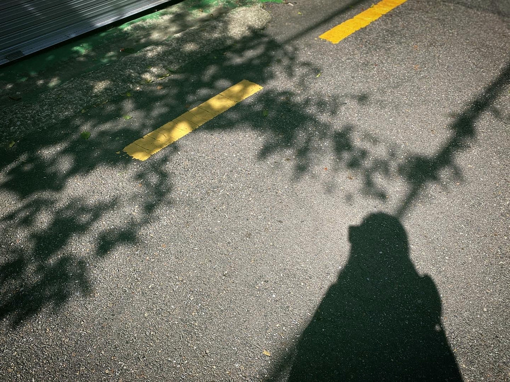 2023년 9월 24일, 열일곱 번째 편지의 썸네일 이미지