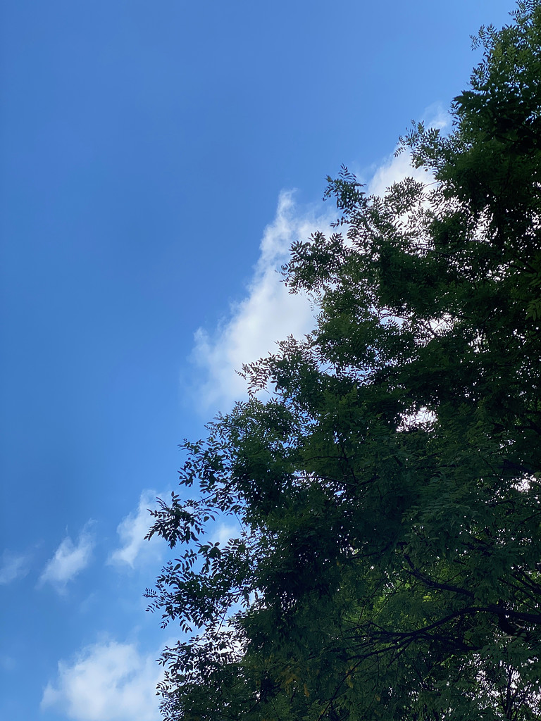 2023년 7월 1일, 다섯 번째 편지의 썸네일 이미지