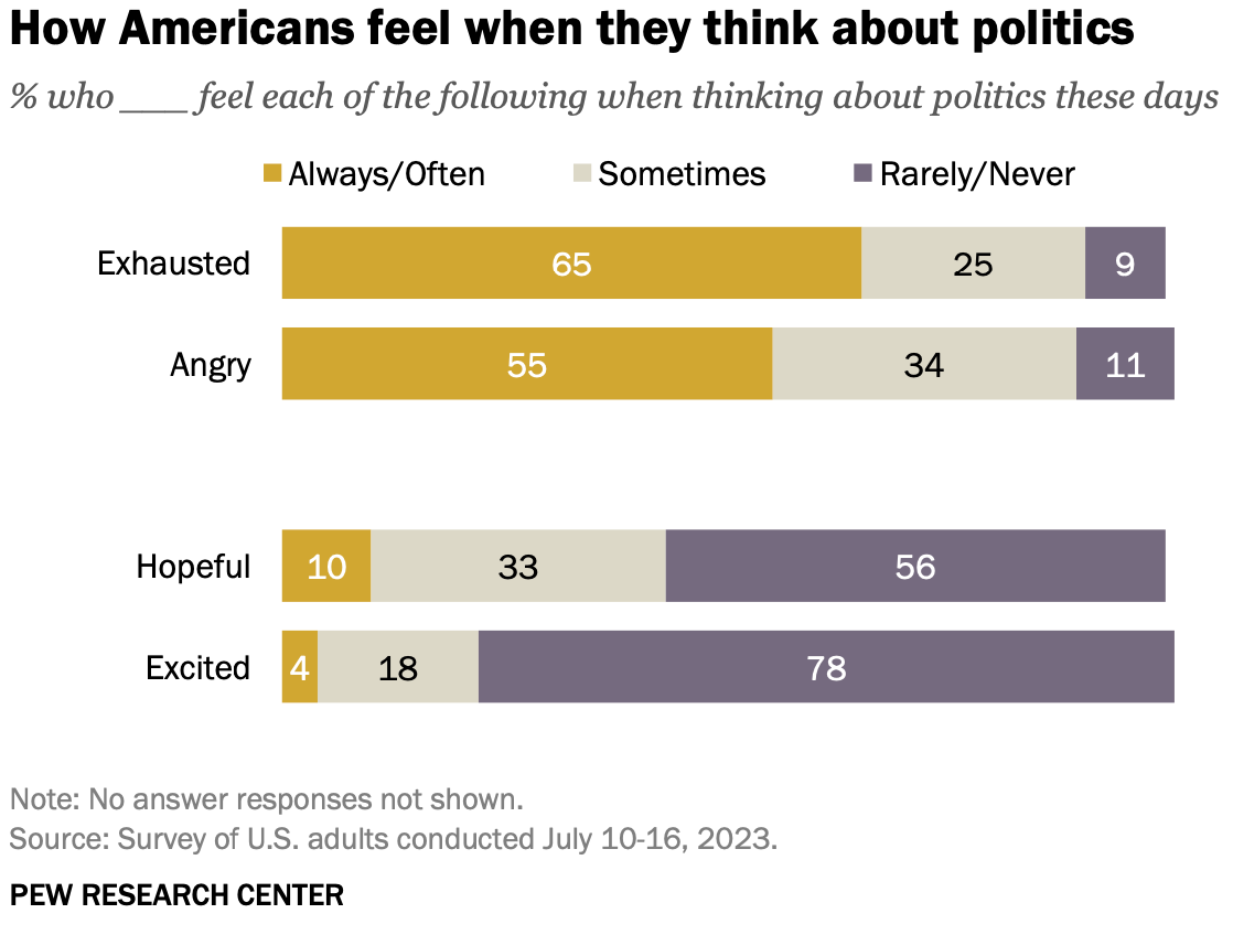 정치에 대한 미국민의 인식 조사 (Pew Research Center, 2023.7.10-16)<br>