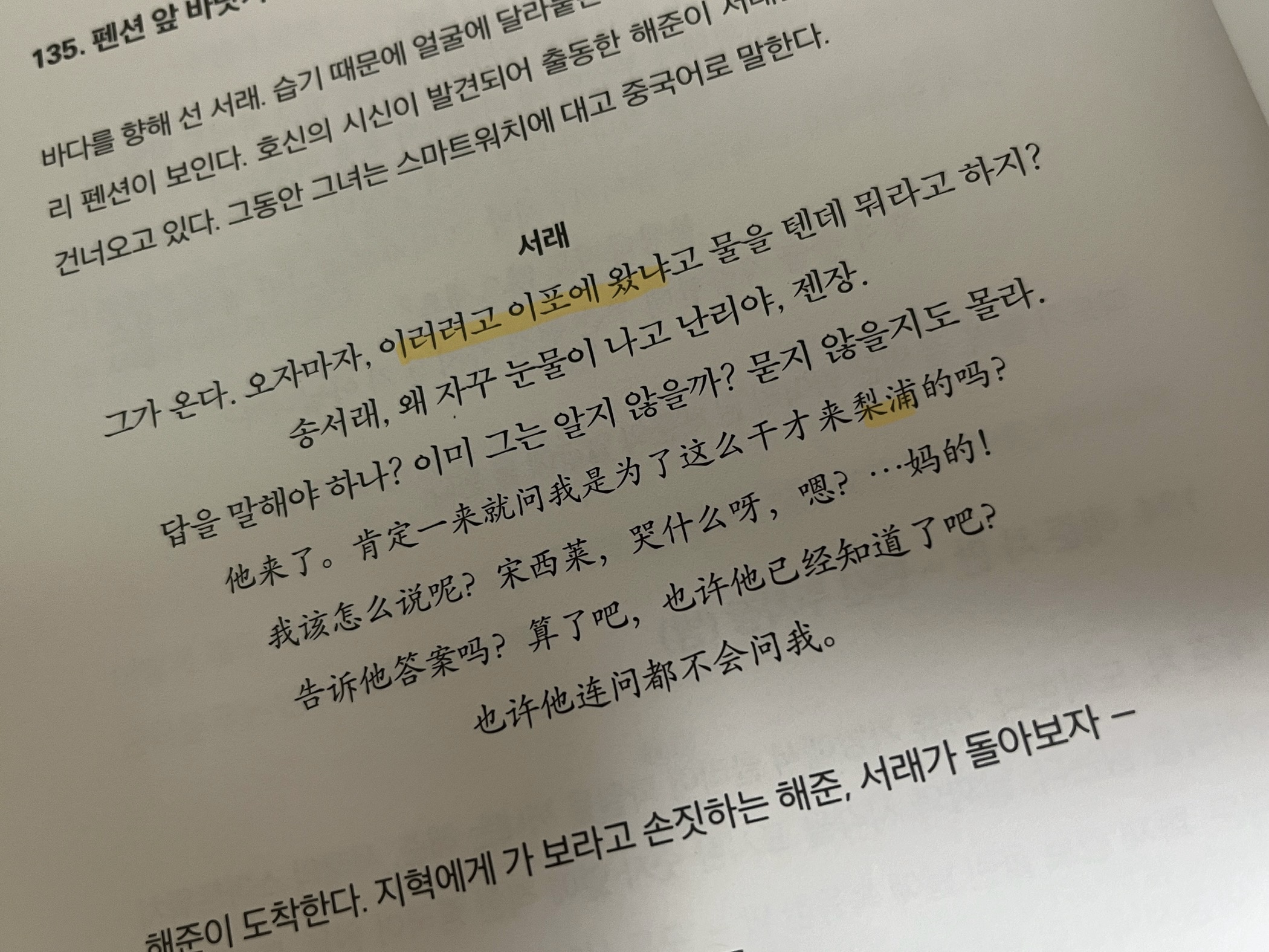 서래의 중국어 대사에서 한자 표기를 발견할 수 있었습니다. 유레카!