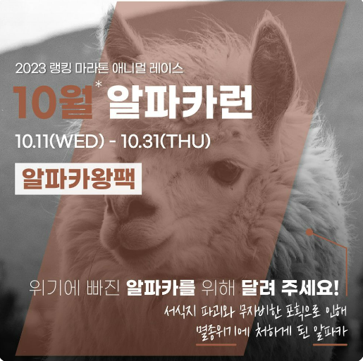 [출처] RM 랭킹마라톤 홈페이지